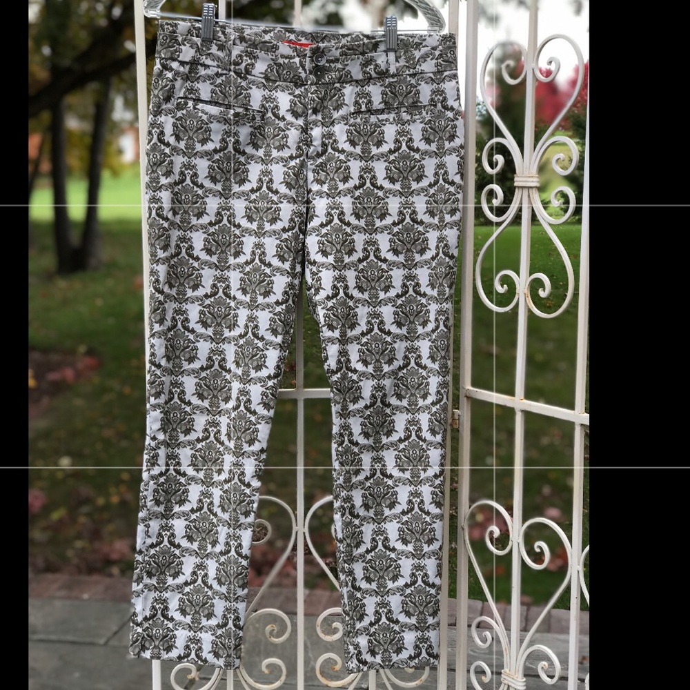 ANTHROPOLOGIE CARTONNIER CHARLIE ANKLE PANTS SZ 10